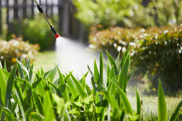 24/7 Emergency Fumigation Services experts in Garrison, ND